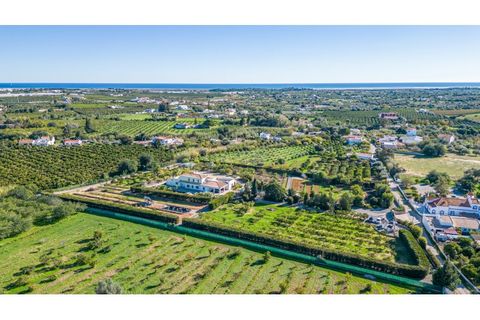 Villa i Tavira, Faro, Tavira - € 1.800.000 | Ref: M163G - foto 5