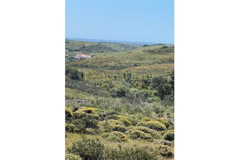 Helårsgrund i Sagres, Faro, Sagres - € 310.000 | Ref: PEK68 - foto 4