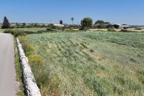 Helårsgrund i Modica, Ragusa, Modica - € 50.000 | Ref: L 1955 - foto 6