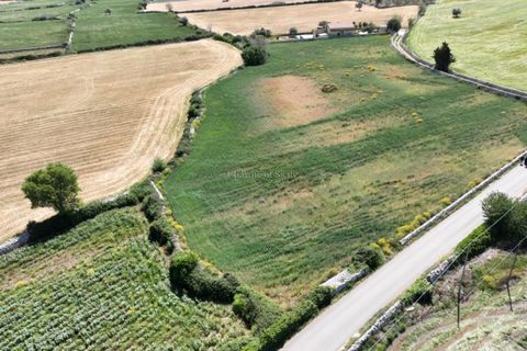 Helårsgrund i Modica, Ragusa, Modica - € 50.000 | Ref: L 1955 - foto 13