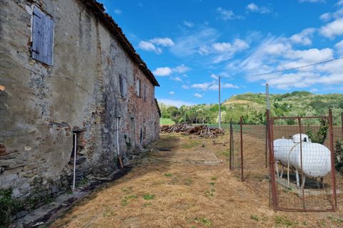 Villa a Cesena, Forli-Cesena, Cesena - € 150.000 | Ref: 2229 - foto 3