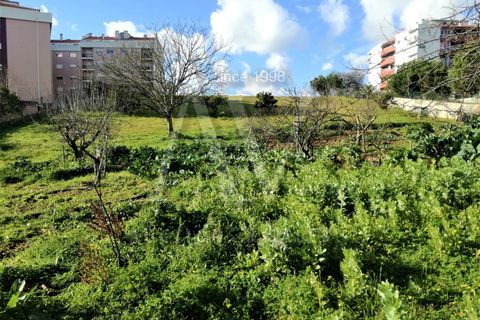 Helårsgrund i Leiria, Leiria, Leiria - € 1.475.000 | Ref: BTL1009 - foto 2
