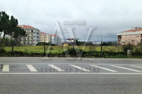 Helårsgrund i Leiria, Leiria, Leiria - € 1.475.000 | Ref: BTL1009 - foto 5
