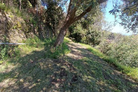 Villa a Varazze, Savona, Varazze - € 135.000 | Ref: 27327 - foto 20