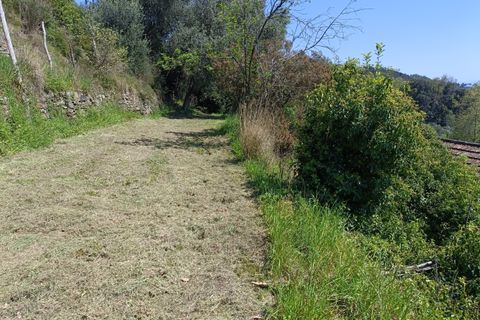 Villa a Varazze, Savona, Varazze - € 135.000 | Ref: 27327 - foto 24
