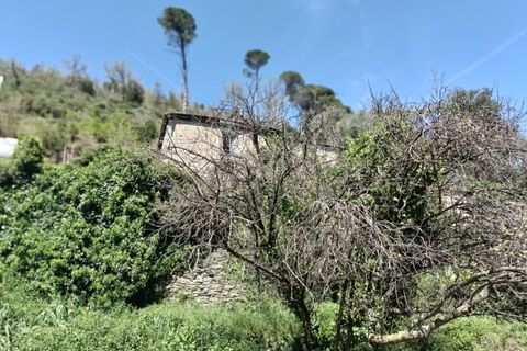 Villa a Varazze, Savona, Varazze - € 135.000 | Ref: 27327 - foto 44
