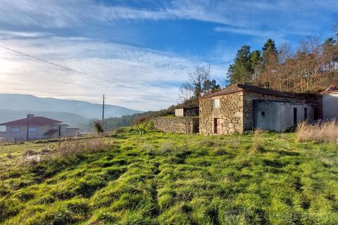 Farm i Tarouca, Viseu, Tarouca - € 110.000 | Ref: LMG_3915 - N - foto 1