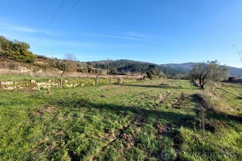Farm i Tarouca, Viseu, Tarouca - € 110.000 | Ref: LMG_3915 - N - foto 2