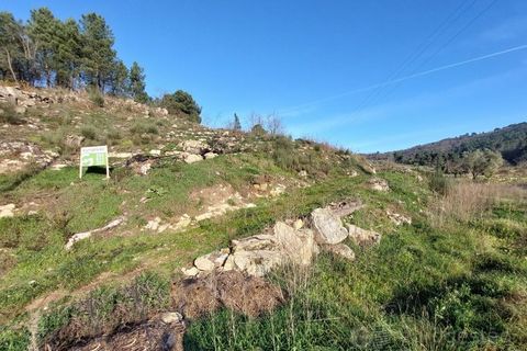 Farm i Tarouca, Viseu, Tarouca - € 110.000 | Ref: LMG_3915 - N - foto 3