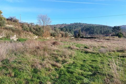 Farm i Tarouca, Viseu, Tarouca - € 110.000 | Ref: LMG_3915 - N - foto 4