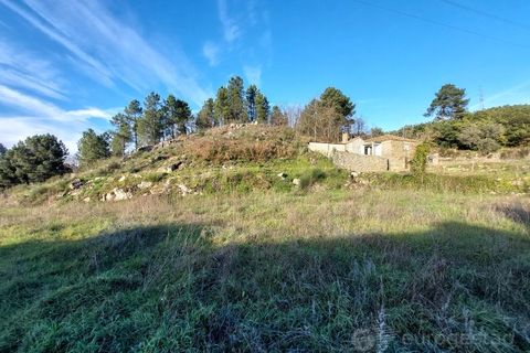 Farm i Tarouca, Viseu, Tarouca - € 110.000 | Ref: LMG_3915 - N - foto 5