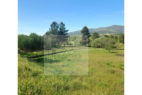 Helårsgrund i Belmonte, Castelo Branco, Belmonte - € 48.000 | Ref: TER_644 - foto 11