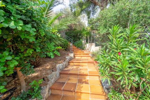 Villa i Port De Soller, Mallorca, Port De Soller - € 2.495.000 | Ref: 79137 - foto 27