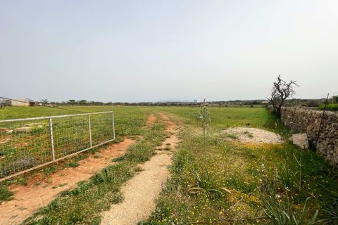 Tomt i Santa Margalida, Mallorca, Santa Margalida - € 1 350 000 | Ref: 79175 - foto 3