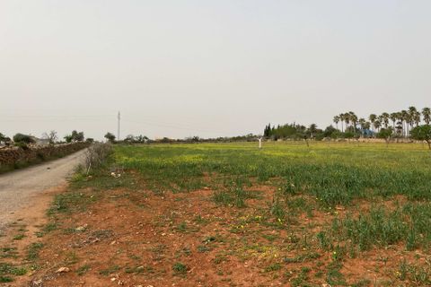 Tomt i Santa Margalida, Mallorca, Santa Margalida - € 1 350 000 | Ref: 79175 - foto 4