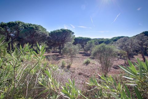Villa i Ramatuelle, Var, Ramatuelle - € 7.200.000 | Ref: HH-15355058 - foto 32