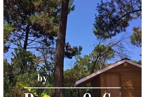 Villa i Cap Ferret, Gironde, Cap Ferret - € 1.262.700 | Ref: 82668783 - foto 10