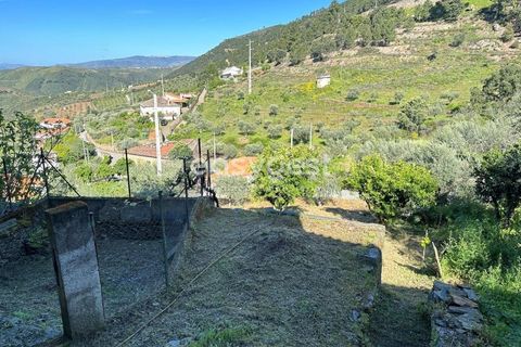 Villa a Torre de Moncorvo, Braganca, Torre de Moncorvo - € 67.500 | Ref: BG95199TM - foto 14