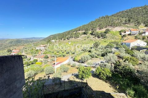 Villa a Torre de Moncorvo, Braganca, Torre de Moncorvo - € 67.500 | Ref: BG95199TM - foto 16
