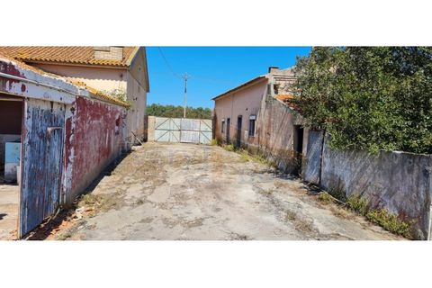 Villa i Santo Onofre e Serra do Bouro, Leiria, Santo Onofre e Serra do Bouro - € 300.000 | Ref: EL2024443 - foto 4
