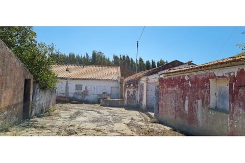 Villa i Santo Onofre e Serra do Bouro, Leiria, Santo Onofre e Serra do Bouro - € 300.000 | Ref: EL2024443 - foto 6