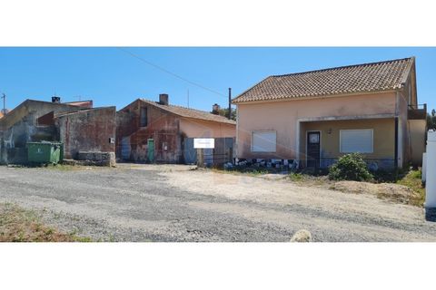 Villa i Santo Onofre e Serra do Bouro, Leiria, Santo Onofre e Serra do Bouro - € 300.000 | Ref: EL2024443 - foto 7