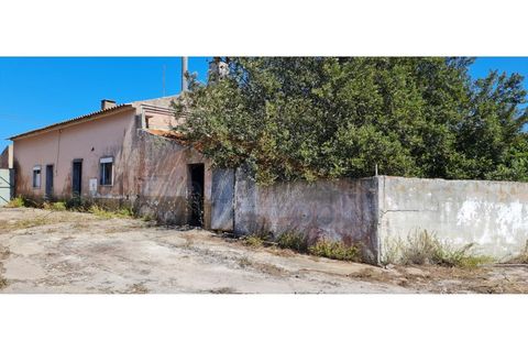 Villa i Santo Onofre e Serra do Bouro, Leiria, Santo Onofre e Serra do Bouro - € 300.000 | Ref: EL2024443 - foto 8