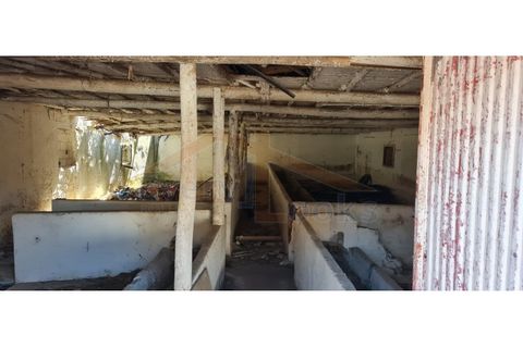 Villa i Santo Onofre e Serra do Bouro, Leiria, Santo Onofre e Serra do Bouro - € 300.000 | Ref: EL2024443 - foto 10