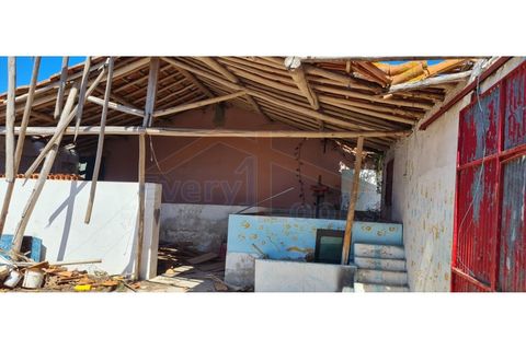 Villa i Santo Onofre e Serra do Bouro, Leiria, Santo Onofre e Serra do Bouro - € 300.000 | Ref: EL2024443 - foto 11