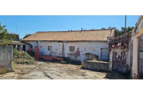Villa i Santo Onofre e Serra do Bouro, Leiria, Santo Onofre e Serra do Bouro - € 300.000 | Ref: EL2024443 - foto 12
