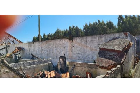 Villa i Santo Onofre e Serra do Bouro, Leiria, Santo Onofre e Serra do Bouro - € 300.000 | Ref: EL2024443 - foto 13