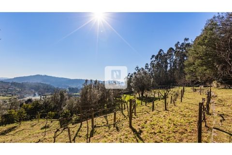 Farm i Ponte de Lima, Viana do Castelo, Ponte de Lima - € 980.000 | Ref: RP6169RP - foto 31