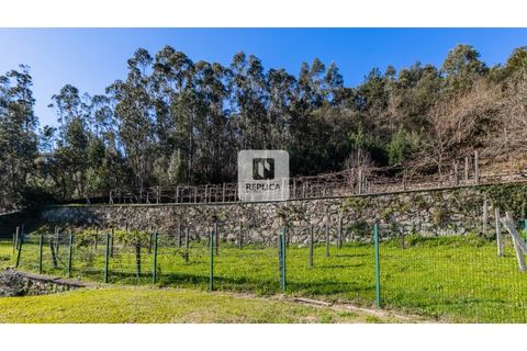 Farm i Ponte de Lima, Viana do Castelo, Ponte de Lima - € 980.000 | Ref: RP6169RP - foto 32