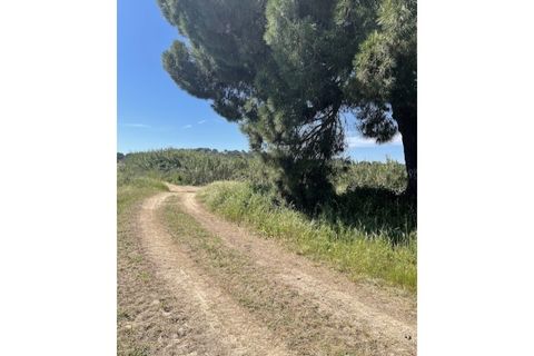 Farm hus i Couco, Santarem, Couco - € 410.000 | Ref: MPNL5013 - foto 2
