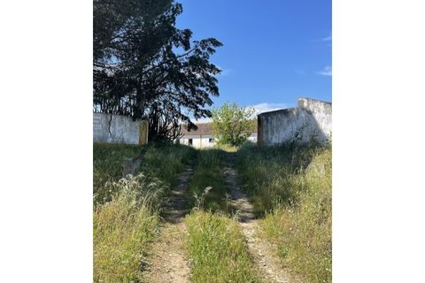 Farm hus i Couco, Santarem, Couco - € 410.000 | Ref: MPNL5013 - foto 3