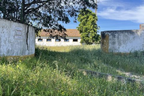 Farm hus i Couco, Santarem, Couco - € 410.000 | Ref: MPNL5013 - foto 4