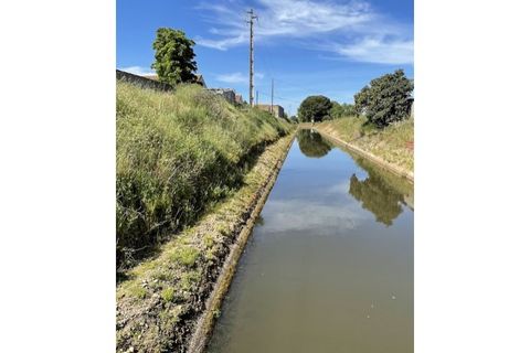 Farm hus i Couco, Santarem, Couco - € 410.000 | Ref: MPNL5013 - foto 5