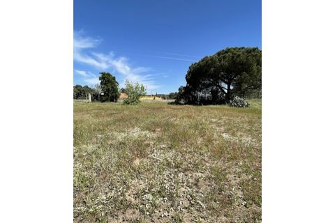 Farm hus i Couco, Santarem, Couco - € 410.000 | Ref: MPNL5013 - foto 6