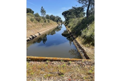 Farm hus i Couco, Santarem, Couco - € 410.000 | Ref: MPNL5013 - foto 7