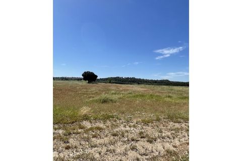 Farm hus i Couco, Santarem, Couco - € 410.000 | Ref: MPNL5013 - foto 8
