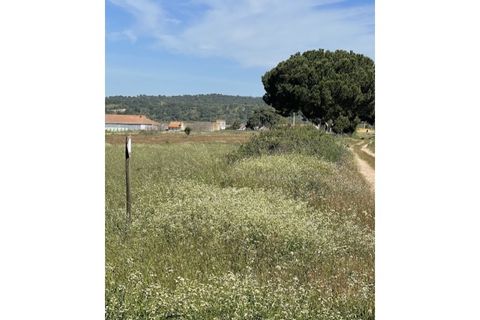 Farm hus i Couco, Santarem, Couco - € 410.000 | Ref: MPNL5013 - foto 9