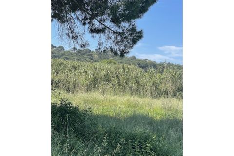 Farm hus i Couco, Santarem, Couco - € 410.000 | Ref: MPNL5013 - foto 10