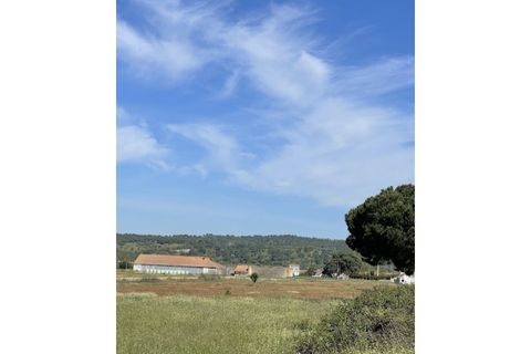 Farm hus i Couco, Santarem, Couco - € 410.000 | Ref: MPNL5013 - foto 11