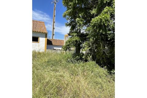 Farm hus i Couco, Santarem, Couco - € 410.000 | Ref: MPNL5013 - foto 12