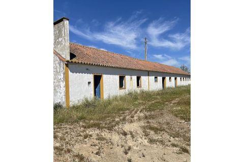 Farm hus i Couco, Santarem, Couco - € 410.000 | Ref: MPNL5013 - foto 13
