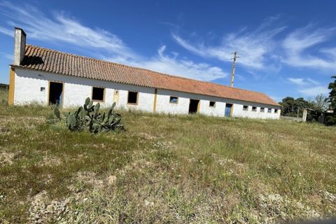 Farm hus i Couco, Santarem, Couco - € 410.000 | Ref: MPNL5013 - foto 14