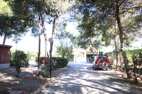 Landejendom i Dolores, Alicante, Dolores - € 525.000 | Ref: 1499 - foto 7