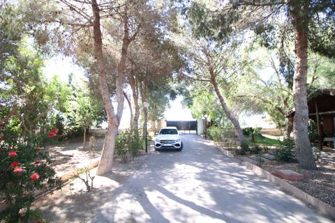Landejendom i Dolores, Alicante, Dolores - € 525.000 | Ref: 1499 - foto 9