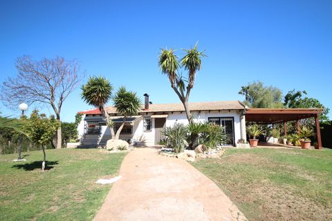Landejendom i Dolores, Alicante, Dolores - € 525.000 | Ref: 1499 - foto 2
