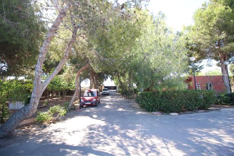 Landejendom i Dolores, Alicante, Dolores - € 525.000 | Ref: 1499 - foto 10